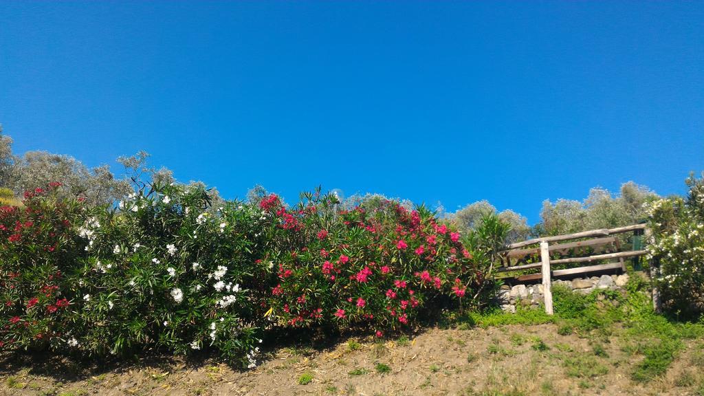 Agriturismo La Quiete Levanto Eksteriør bilde